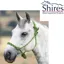 Shires Rope Control Headcollar - Lime/Black 